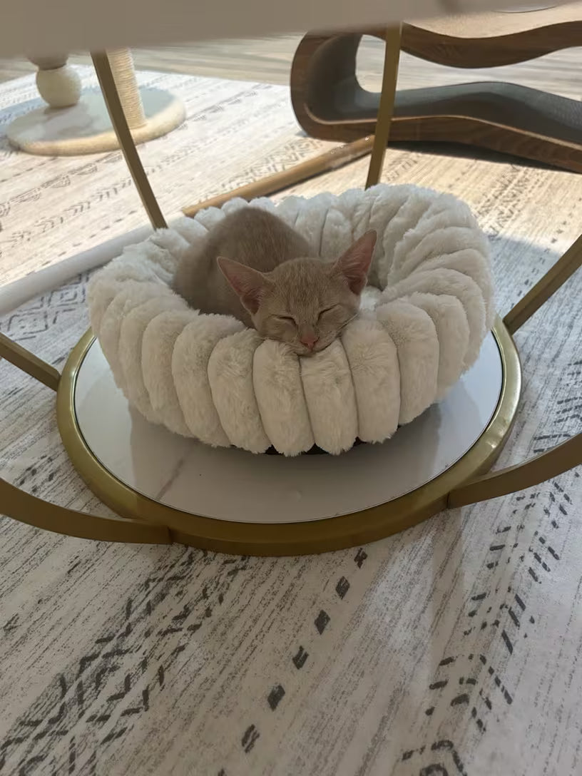 Circular Plush Cat Bed