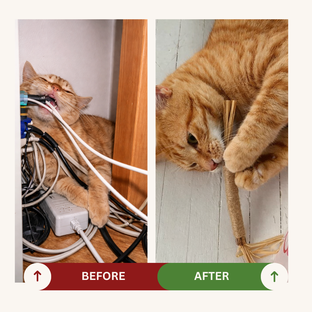 100% Natural Silverine Dental Sticks