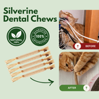 100% Natural Silverine Dental Sticks