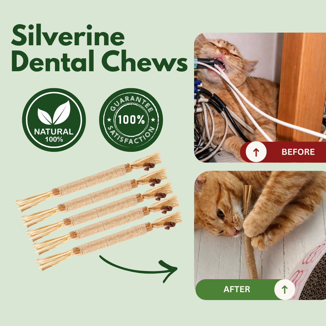 100% Natural Silverine Dental Sticks