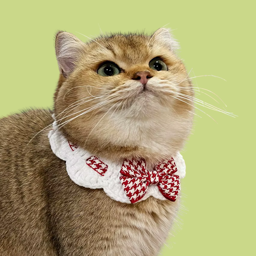 Christmas Morning Crochet Collar