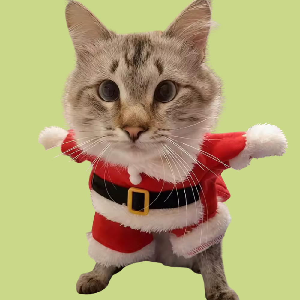 Santa Paws Costume