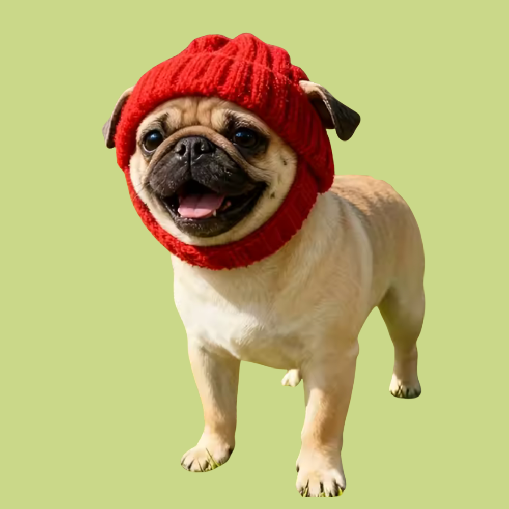 Festive Dog Beanie