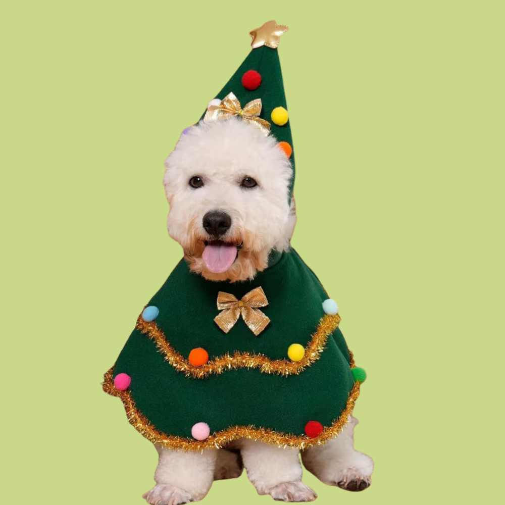 Christmas Tree Cape & Hat
