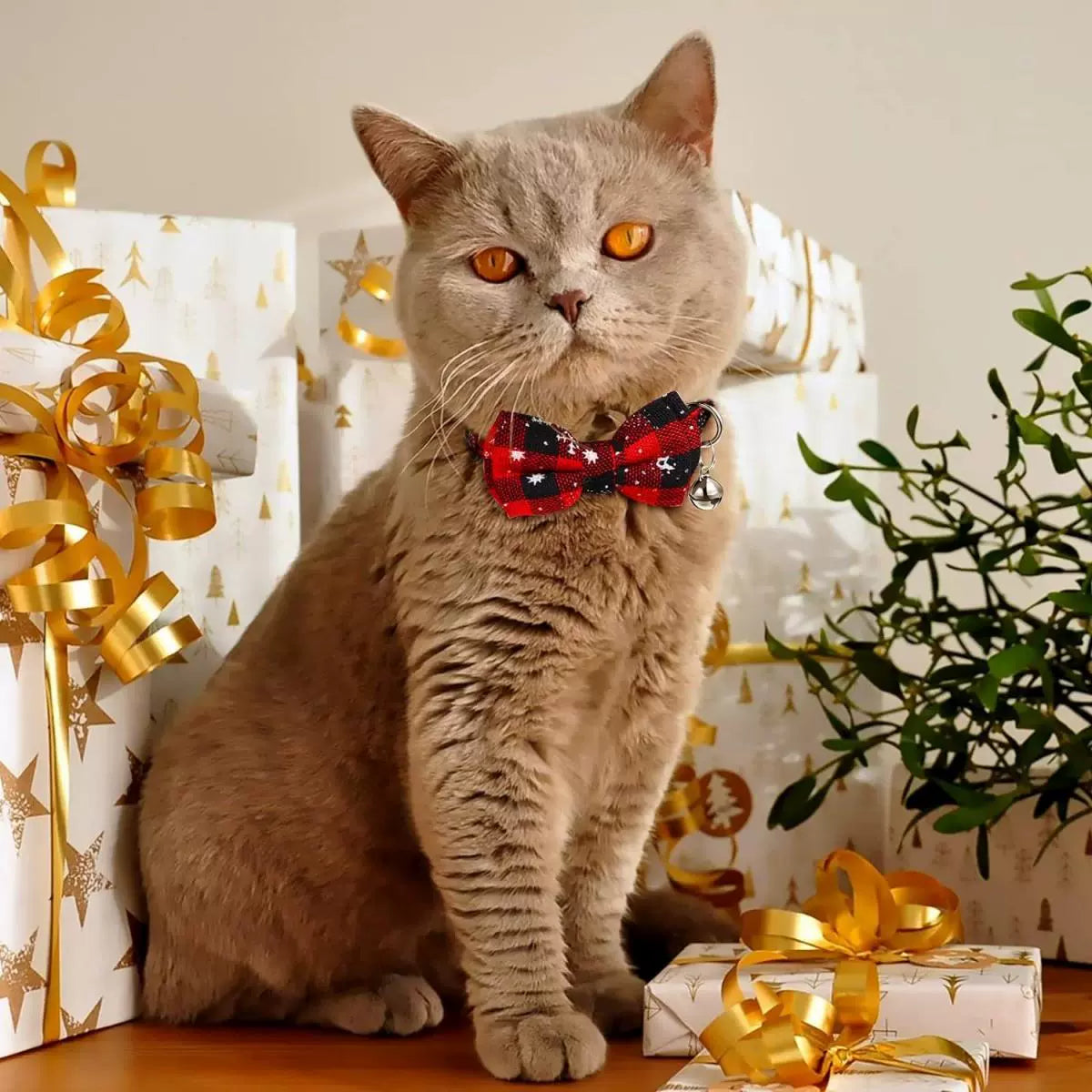 Cat wearing a red bow tie with Christmas presents and decorations in the background