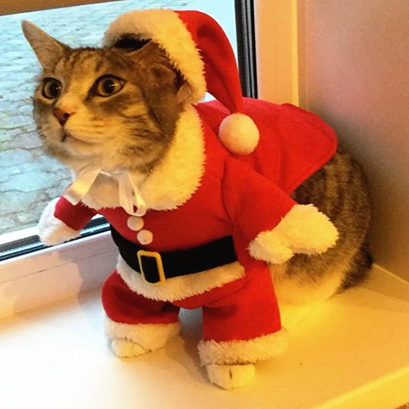Santa Paws Costume