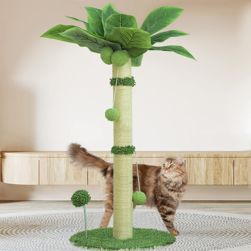 Tropical Wonder Scratcher Post