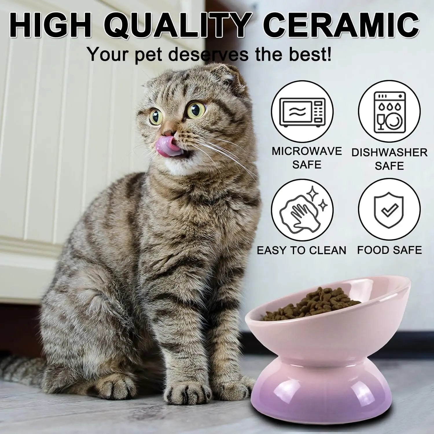 Ceramic Elevated Cat Bowl