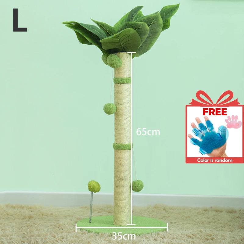 Tropical Wonder Scratcher Post