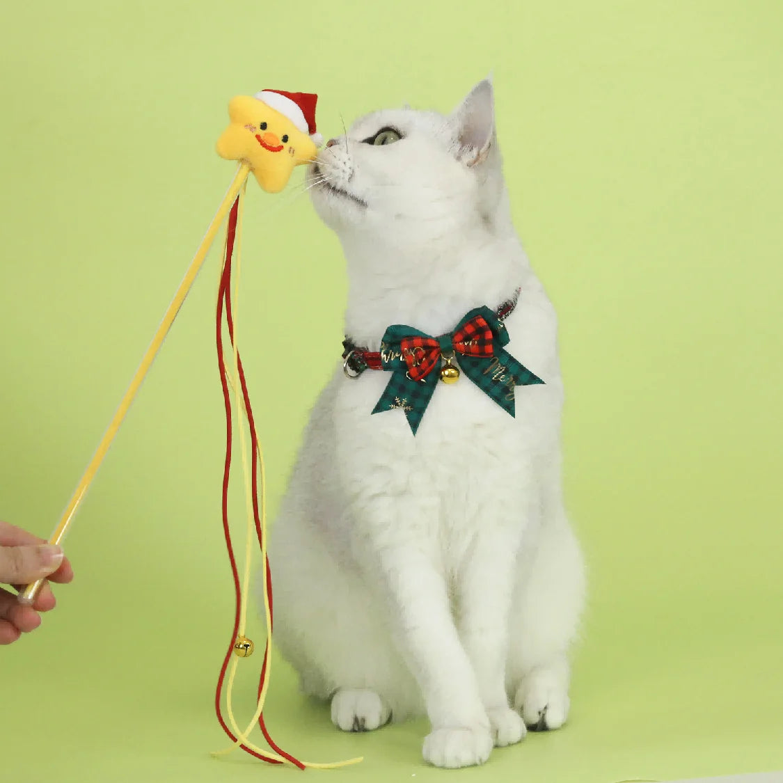 Merry & Bright Cat Collar