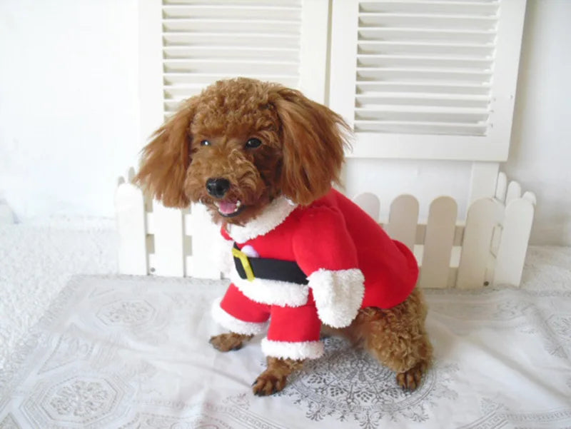 Santa Paws Costume