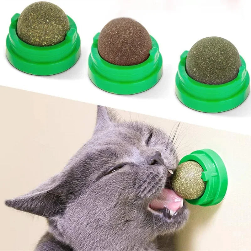 Catnip Scratching & Lick Post