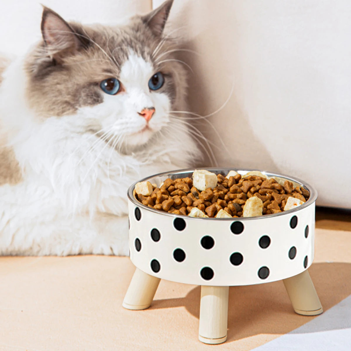 Stainless Steel Cat Bowl