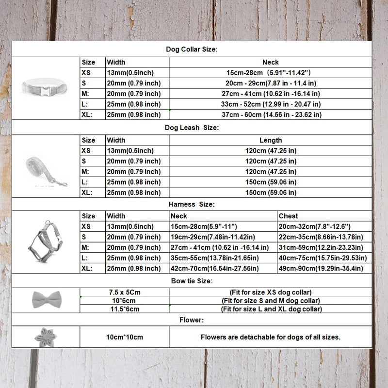 Customizable Dog Collar - Free Engraving
