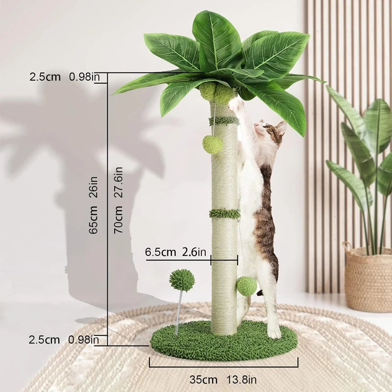 Tropical Wonder Scratcher Post