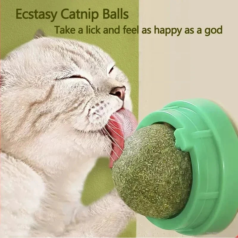 Catnip Scratching & Lick Post