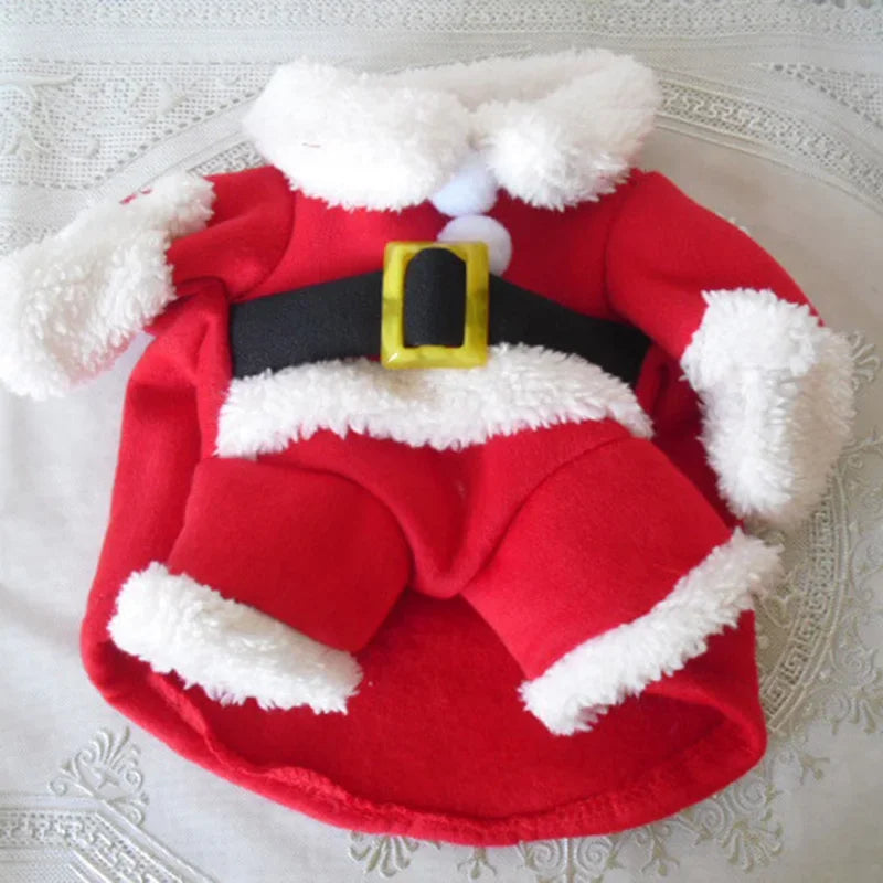Red Santa Claus costume with white fur trim on a textured surface