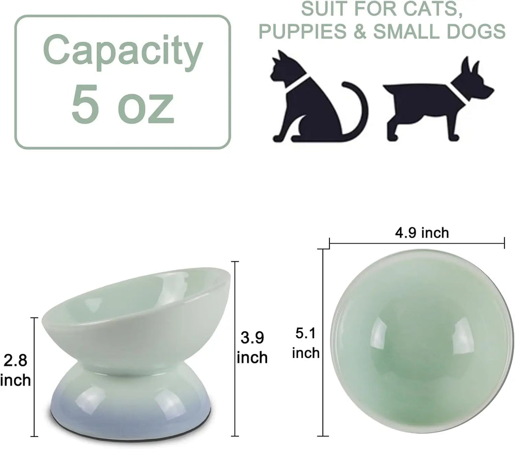 Ceramic Elevated Cat Bowl
