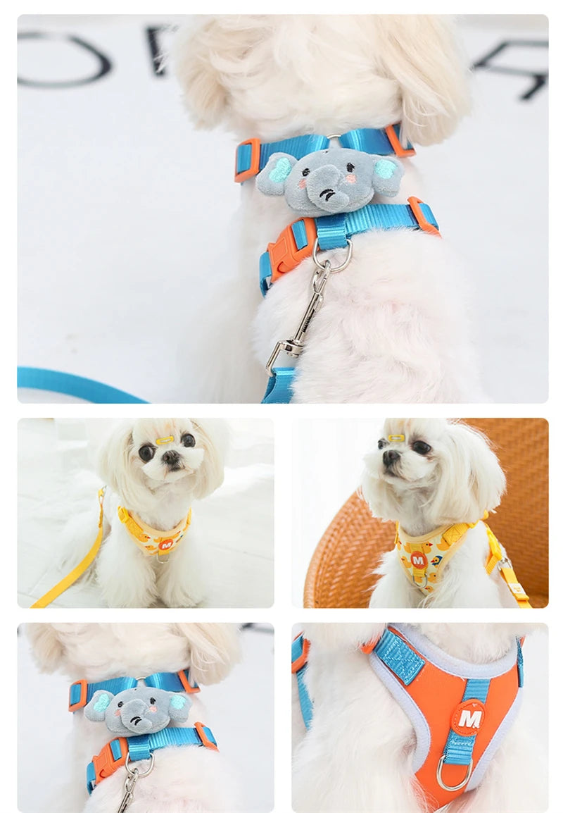 Sweet Creature Leash & Harness Set