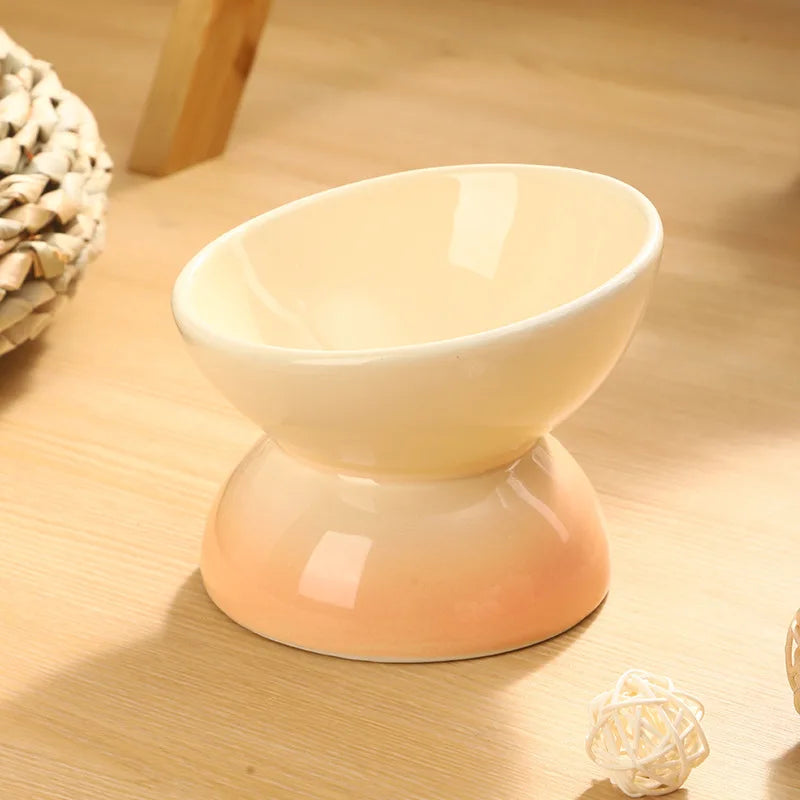 Ceramic Elevated Cat Bowl