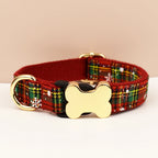 Dog collar with plaid pattern and gold bone-shaped tag on a beige background