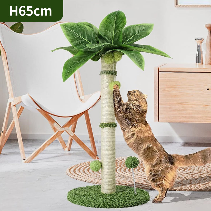 Tropical Wonder Scratcher Post