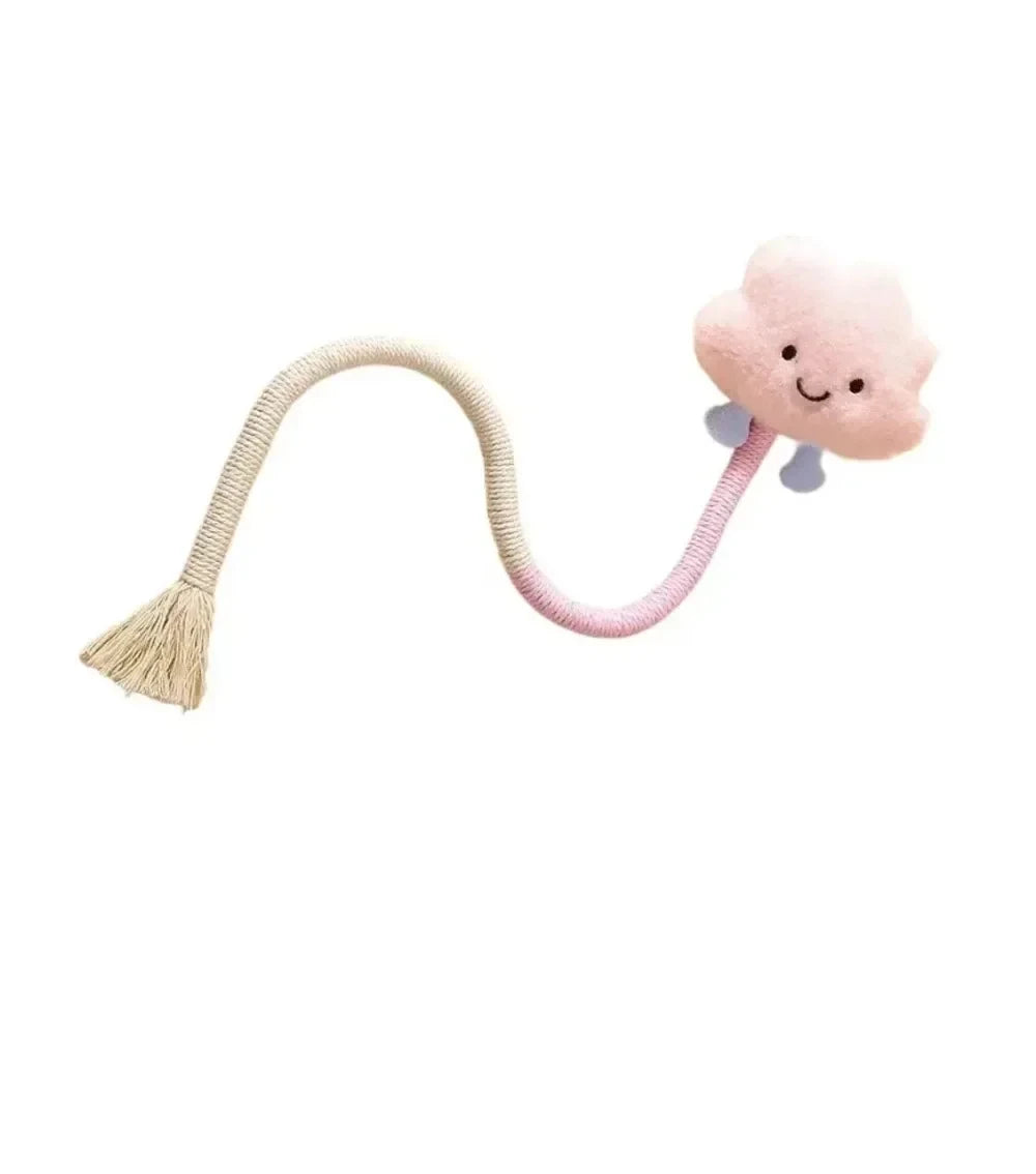 Paw & Play Rope Cat Toy