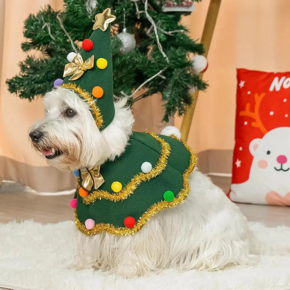 Dog wearing a festive Christmas tree costume with colorful decorations, sitting in front of a decorated Christmas tree.