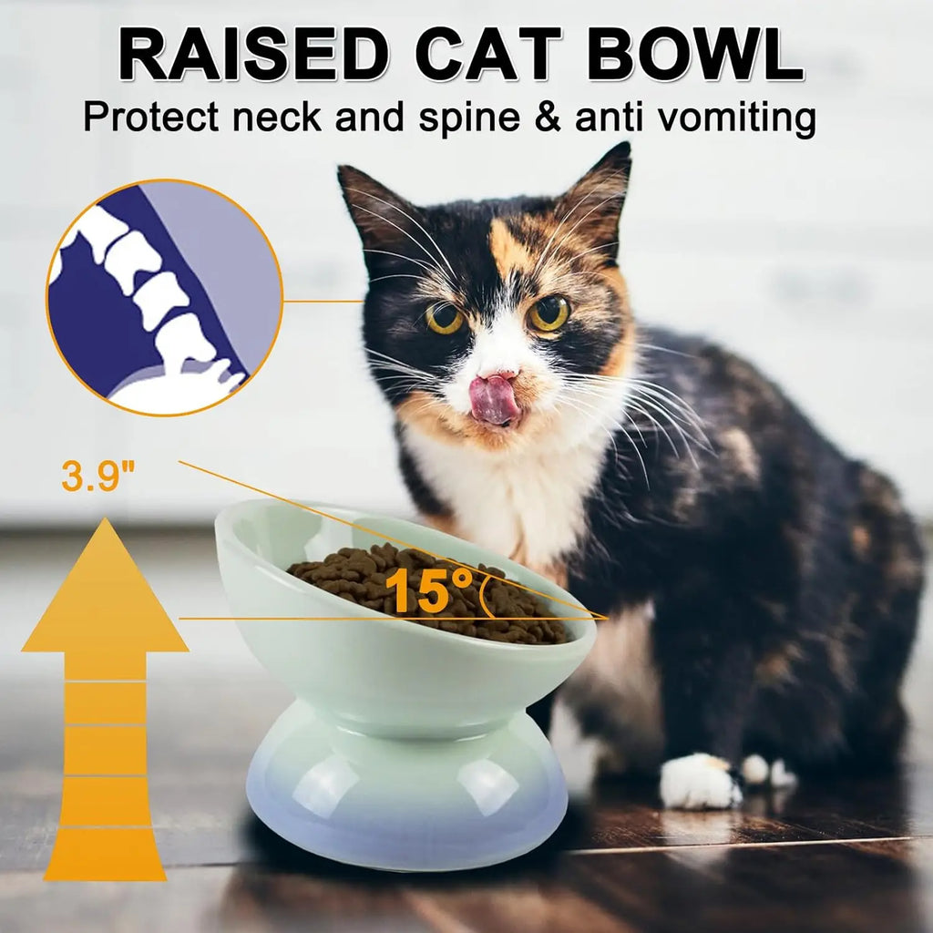Ceramic Elevated Cat Bowl