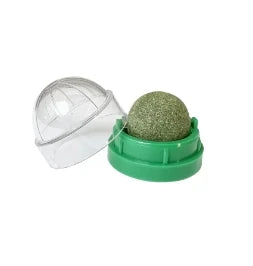 Catnip Scratching & Lick Post