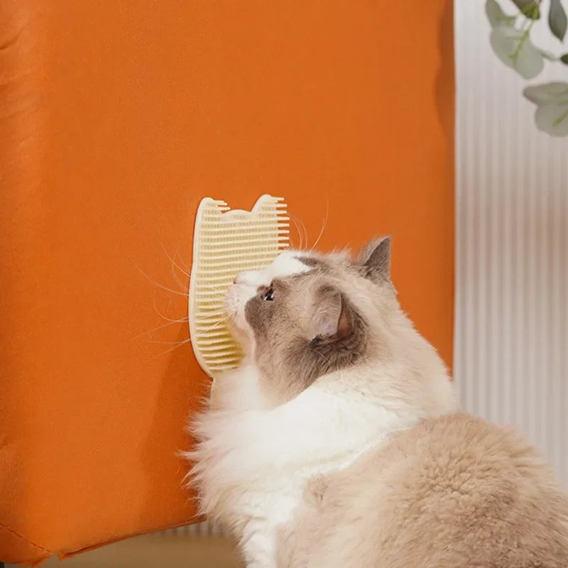 Cat Scratching Board