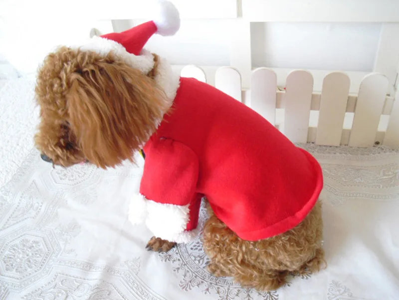 Santa Paws Costume