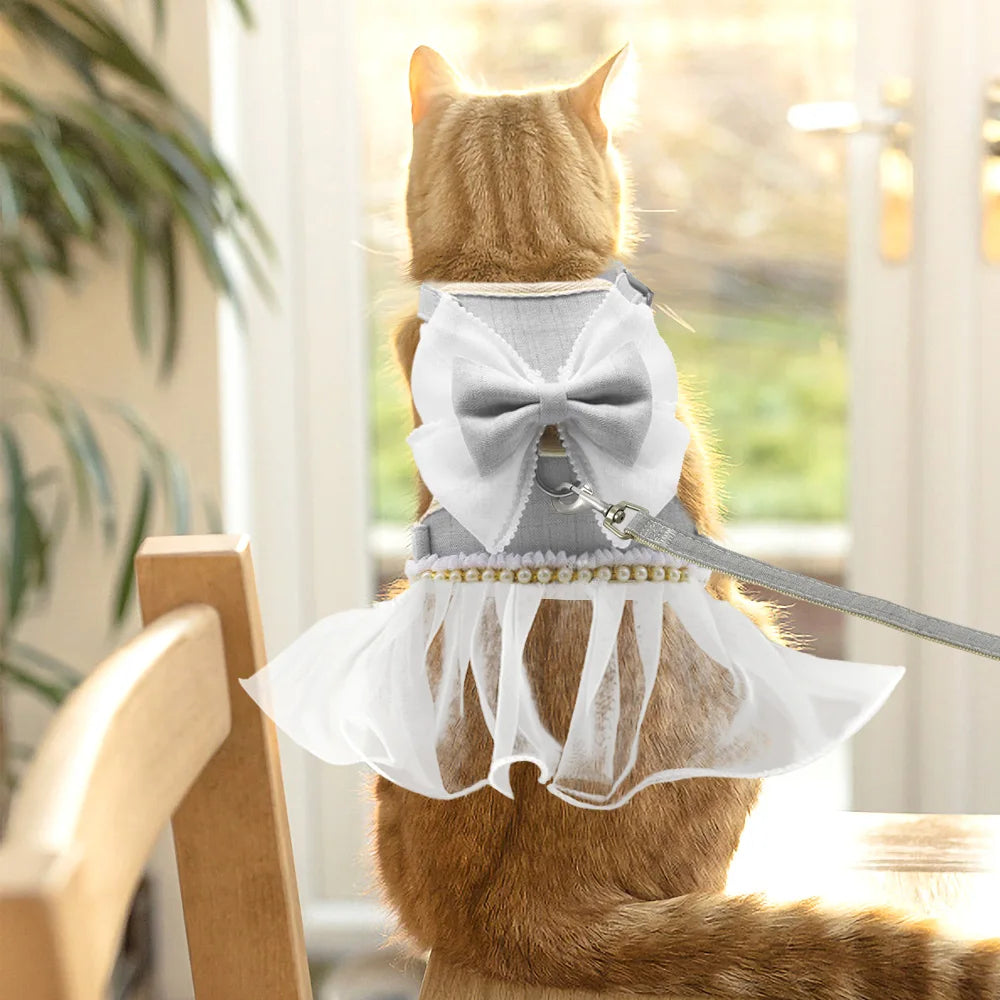 Bowknot Leash & Harness