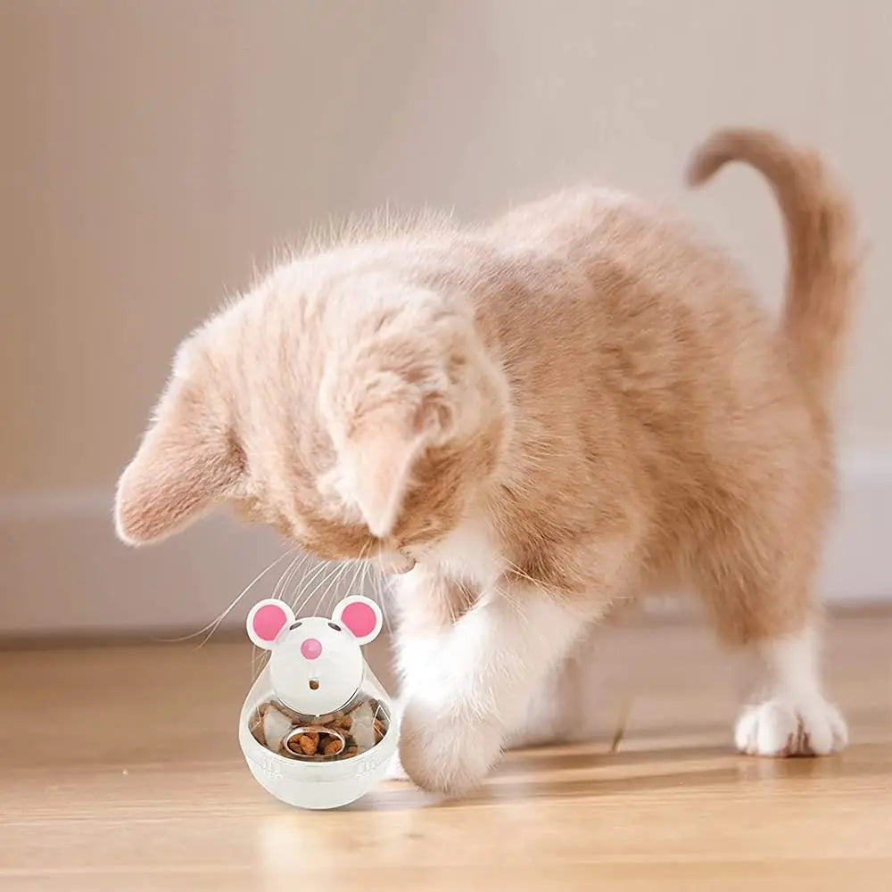 Interactive Cat Treat Puzzle