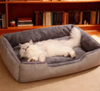 Cat lying on a gray pet bed with a bookshelf in the background