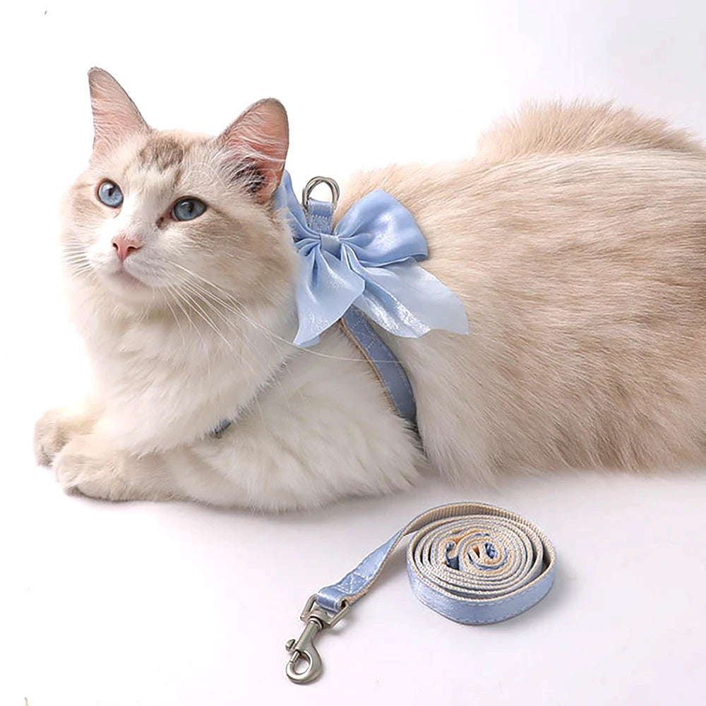 Blue Bow Cat Harness
