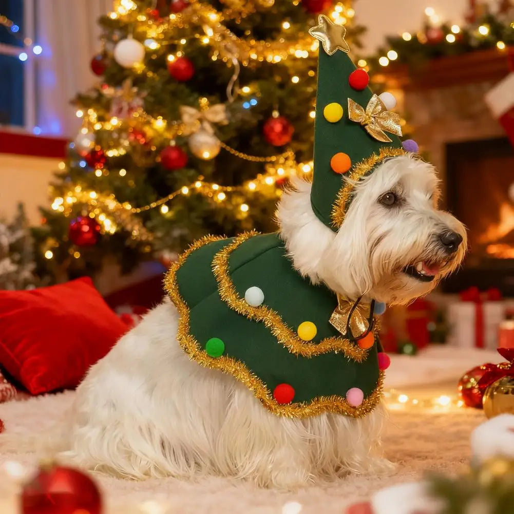 Christmas Tree Cape & Hat