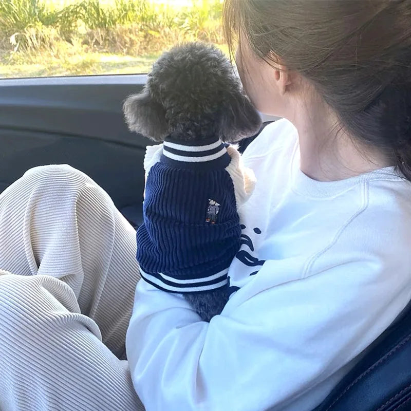 Embroidered Baseball Jacket