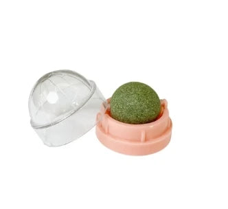 Catnip Scratching & Lick Post