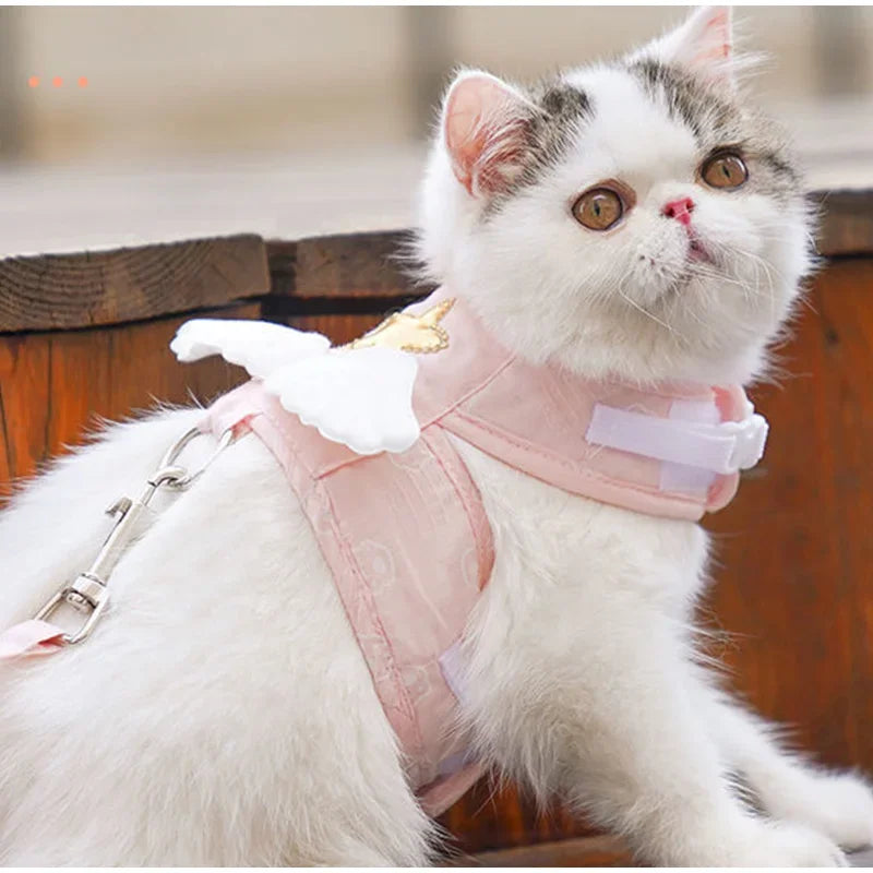 Angel Baby Leash & Harness