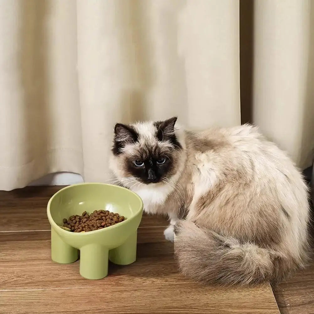 Elevated Cat Feeder