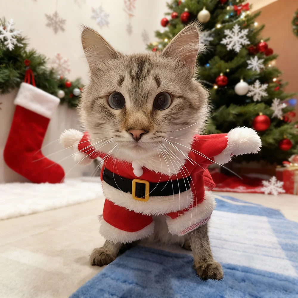 Cat wearing a Santa Claus outfit in front of a Christmas tree with decorations.