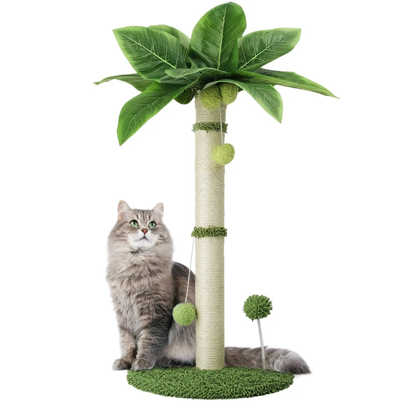 Tropical Wonder Scratcher Post