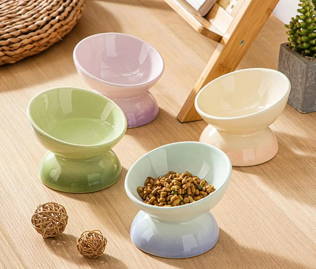 Ceramic Elevated Cat Bowl