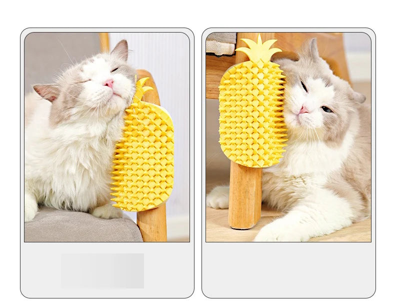 Pineapple Cat Scratcher