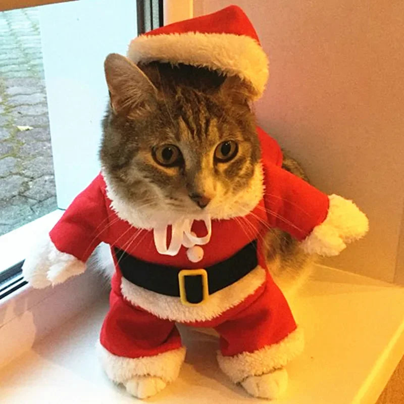 Santa Paws Costume