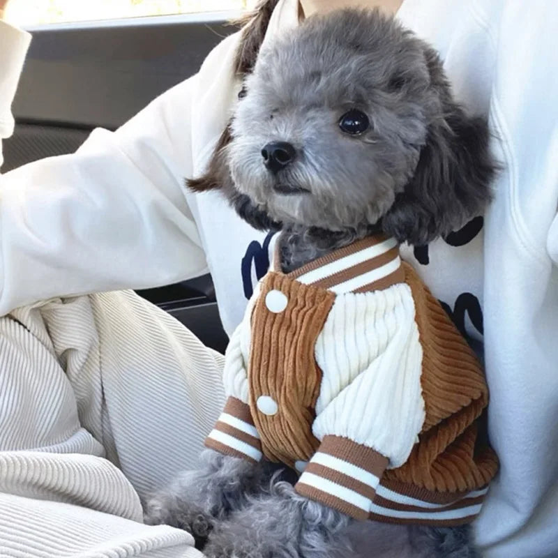 Embroidered Baseball Jacket