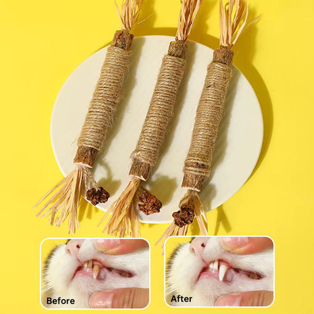 100% Natural Silverine Dental Sticks