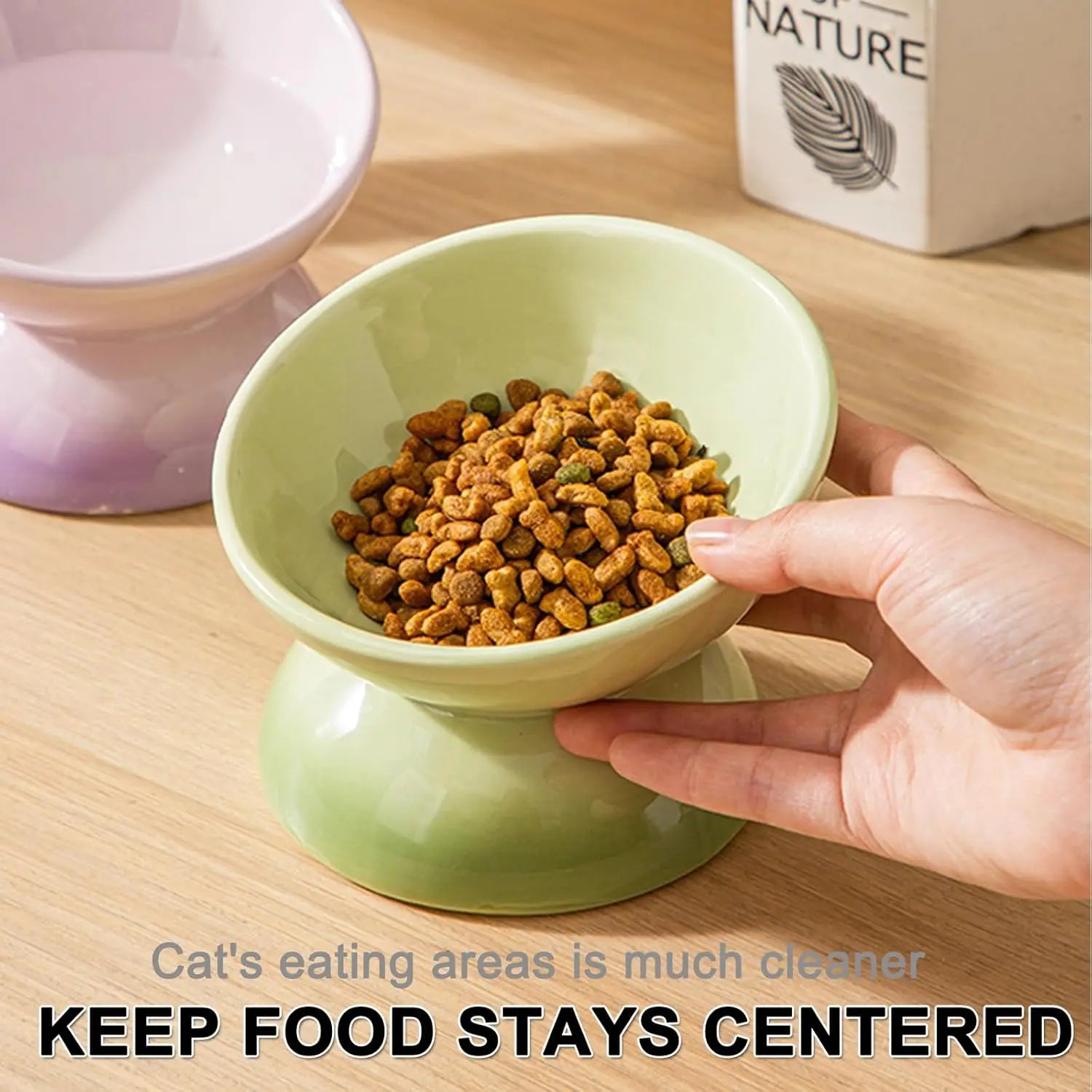 Ceramic Elevated Cat Bowl