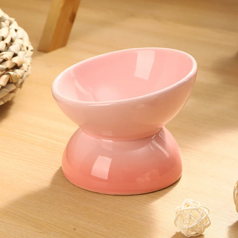 Ceramic Elevated Cat Bowl